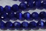 CCT364 15 inches 6mm faceted round cats eye beads wholesale