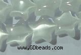 CCT860 15 inches 10mm star cats eye beads wholesale