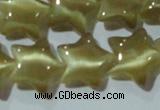 CCT866 15 inches 10mm star cats eye beads wholesale