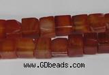 CCU67 15.5 inches 8*8mm cube red agate beads wholesale