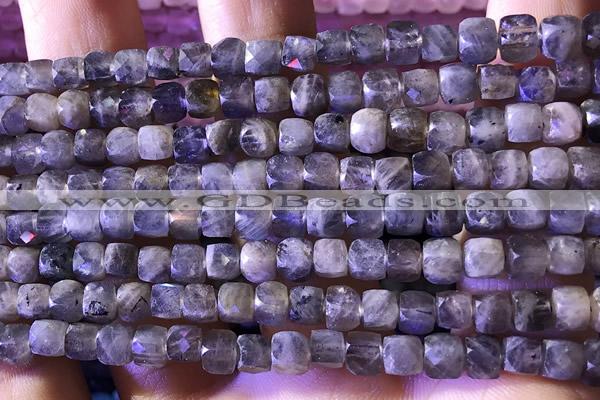 CCU809 15 inches 4mm faceted cube labradorite beads