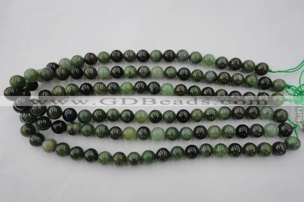 CDJ253 15.5 inches 10mm round Canadian jade beads wholesale