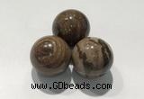 CDN1115 30mm round zebra jasper decorations wholesale