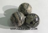 CDN1149 30mm round zebra jasper decorations wholesale