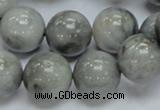 CEE06 15.5 inches 16mm round eagle eye jasper beads wholesale