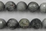 CEE355 15.5 inches 14mm faceted round eagle eye jasper beads