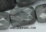 CEE36 15.5 inches 22*30mm faceted rectangle eagle eye jasper beads