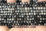 CEE540 15.5 inches 4mm round eagle eye jasper gemstone beads