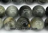 CEE551 15 inches 8mm round eagle eye jasper beads