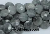 CEE56 15.5 inches 8mm faceted coin eagle eye jasper beads