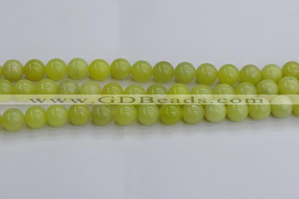 CEJ203 15.5 inches 10mm round lemon jade beads wholesale