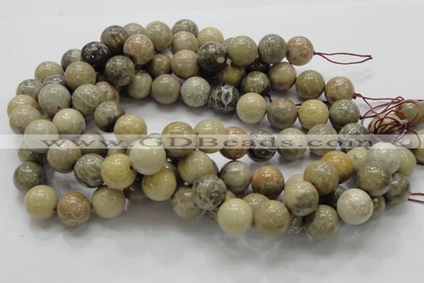 CFA04 15.5 inches 16mm round chrysanthemum agate gemstone beads