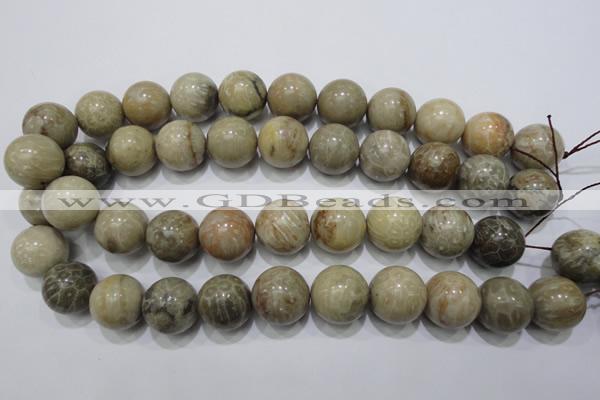 CFA27 15.5 inches 18mm round chrysanthemum agate gemstone beads