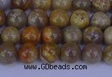 CFC201 15.5 inches 6mm round fossil coral beads wholesale