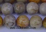 CFC204 15.5 inches 12mm round fossil coral beads wholesale