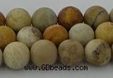 CFC222 15.5 inches 8mm round matte fossil coral beads wholesale