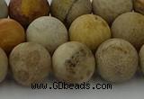 CFC224 15.5 inches 12mm round matte fossil coral beads wholesale