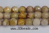 CFC228 15.5 inches 4mm faceted round fossil coral beads