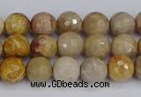 CFC229 15.5 inches 6mm faceted round fossil coral beads