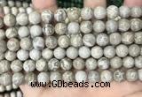 CFC330 15.5 inches 8mm round fossil coral beads wholesale