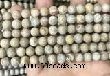 CFC333 15.5 inches 8mm round fossil coral beads wholesale