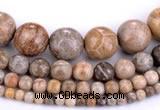 CFC55 15.5 inches round coral fossil jasper beads wholesale