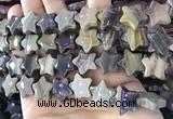 CFG1303 15.5 inches 15mm carved star silver leaf jasper beads