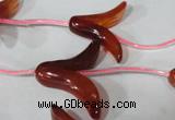 CFG504 15.5 inches 20*26mm carved flower red agate beads