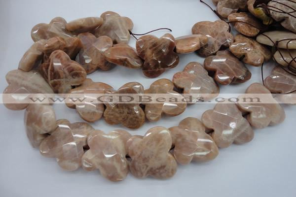 CFG933 15.5 inches 30*33mm faceted & carved butterfly moonstone beads