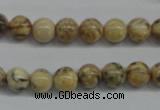 CFS02 15.5 inches 10mm round natural feldspar gemstone beads