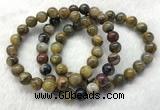 CGB2600 7.5 inches 9mm round natural pietersit beaded bracelets