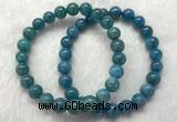 CGB2621 7.5 inches 8mm round natural apatite beaded bracelets