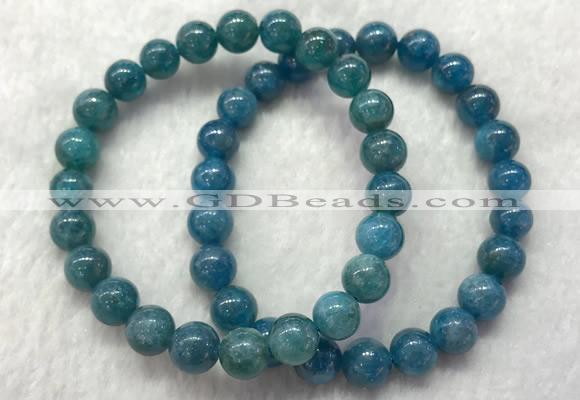 CGB2621 7.5 inches 8mm round natural apatite beaded bracelets