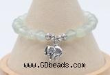 CGB7902 8mm prehnite bead with luckly charm bracelets wholesale