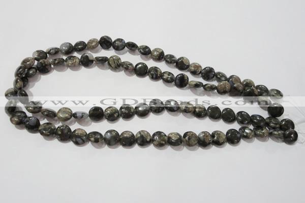 CGE122 15.5 inches 10mm flat round glaucophane gemstone beads