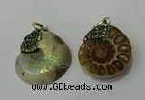 CGP271 25*30mm - 30*35mm ammonite pendants wholesale