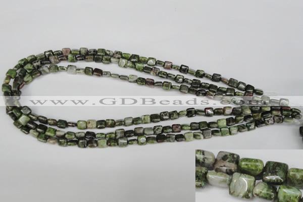 CGR31 15.5 inches 6*6mm square green rain forest stone beads