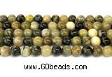 CHJ103 15 inches 10mm round honeybee jasper beads