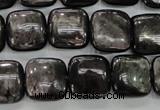 CHS82 15.5 inches 14*14mm square natural hypersthene beads