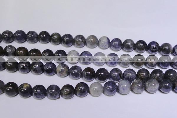 CIL05 15.5 inches 10mm round natural iolite gemstone beads