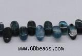 CKC30 16 inches 6*12mm marquise natural kyanite beads wholesale