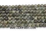 CLB1241 15 inches 6mm round labradorite beads wholesale