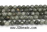 CLB1251 15 inches 10mm faceted round labradorite beads wholesale