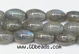 CLB150 15.5 inches 8*12mm rice labradorite gemstone beads