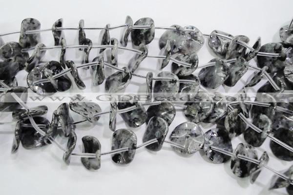 CLB326 Top-drilled 20mm wavy coin black labradorite beads