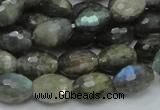 CLB35 15.5 inches 10*14mm faceted rice labradorite gemstone beads