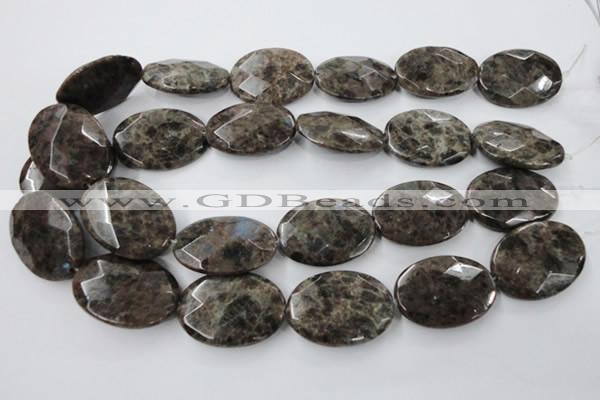 CLB403 15.5 inches 10mm faceted round grey labradorite beads