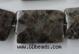 CLB426 15.5 inches 20*30mm faceted rectangle grey labradorite beads