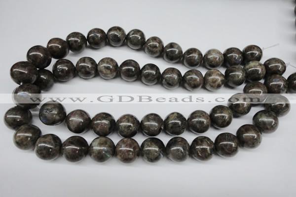 CLB436 15.5 inches 16mm round grey labradorite beads wholesale