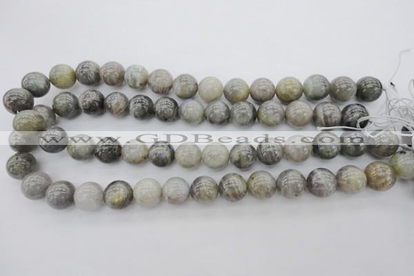 CLB710 15.5 inches 16mm round labradorite gemstone beads